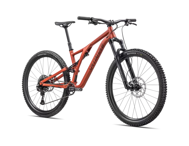 Stumpjumper Alloy