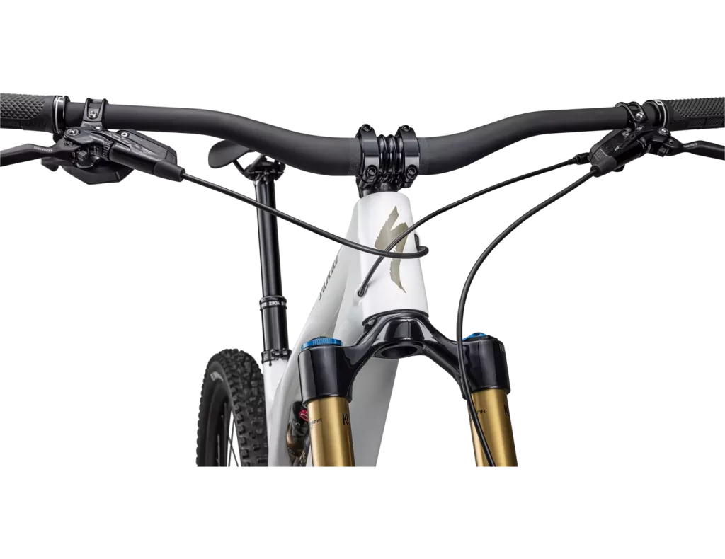 Stumpjumper Evo Pro