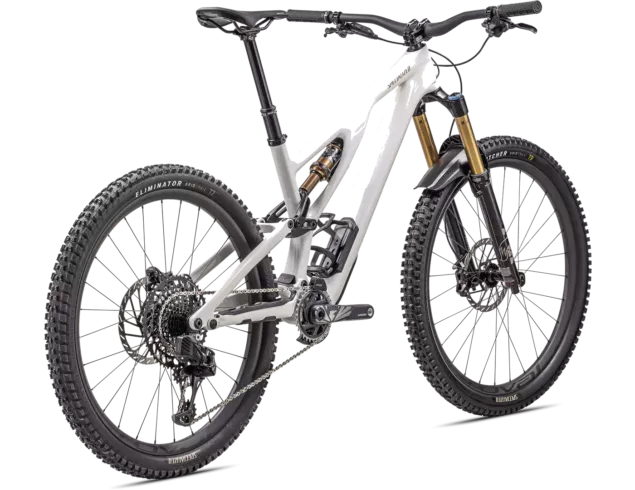 Stumpjumper Evo Pro